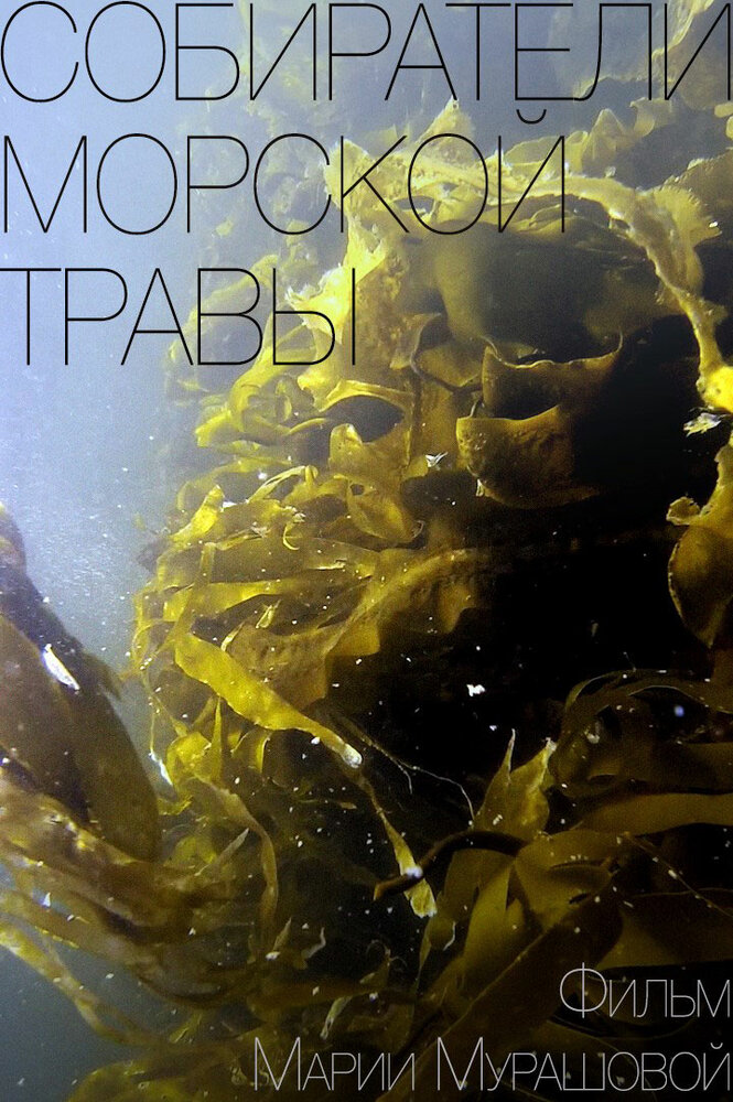 Собиратели морской травы (2016)