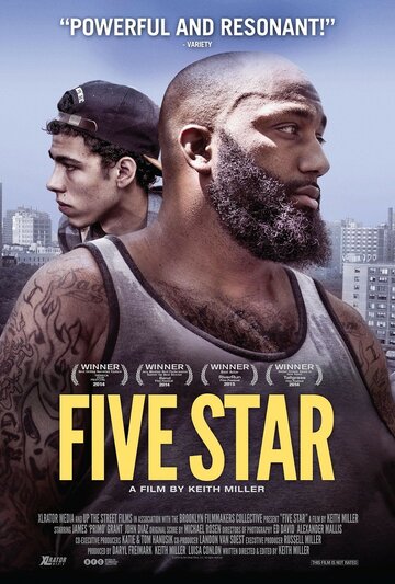 Пять звёзд (2014)